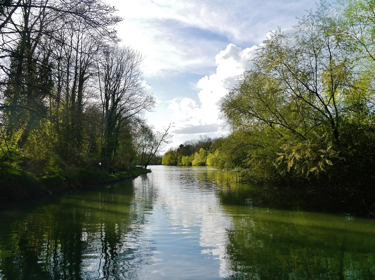 Les bords de Marne à Noisiel, arbres et reflets sur l'eau.