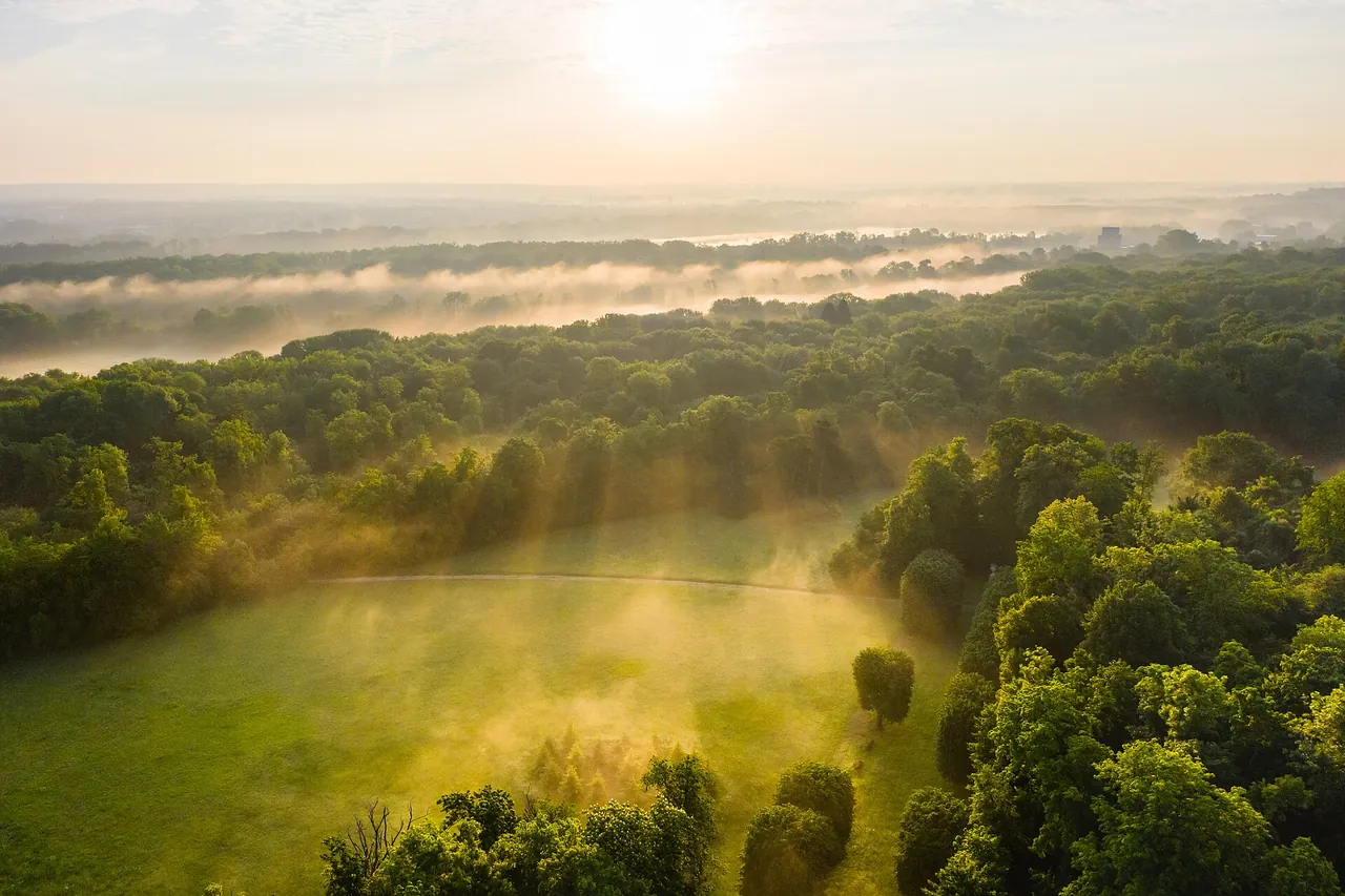 Le parc de Noisiel au lever du soleil, vu depuis Champs-sur-Marne.